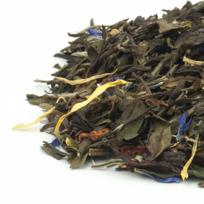 JTWFCHACCimgL166__24480__74856.1483369211-1